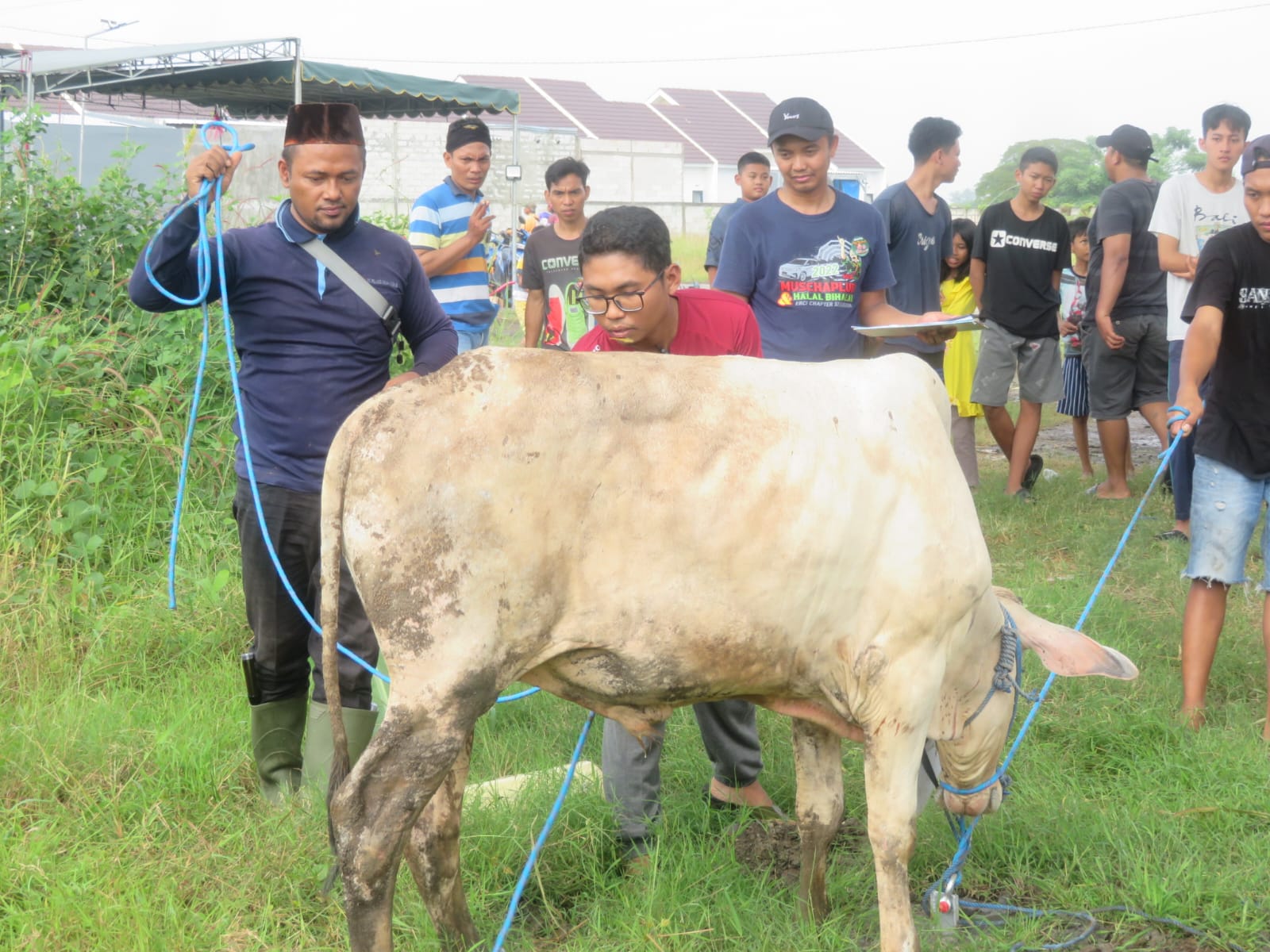 Perdana dan Sukses, Musholla Permata Al-Khair Sidoarjo Salurkan 1.500 Bingkisan Daging Kurban